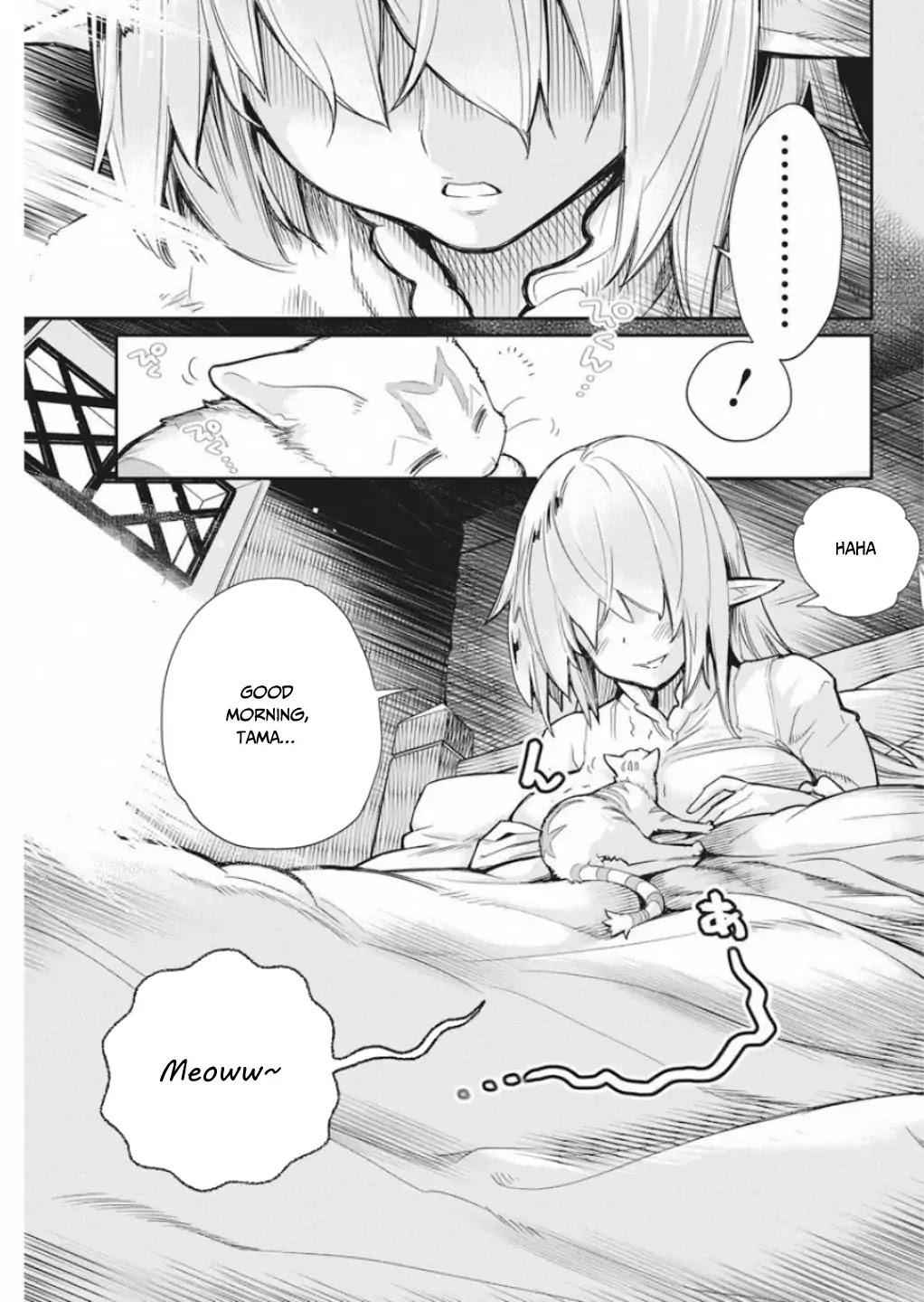 I Am Behemoth of the S Rank Monster but I Am Mistaken as a Cat and I Live as a Pet of Elf Girl Chapter 16 - Page 8