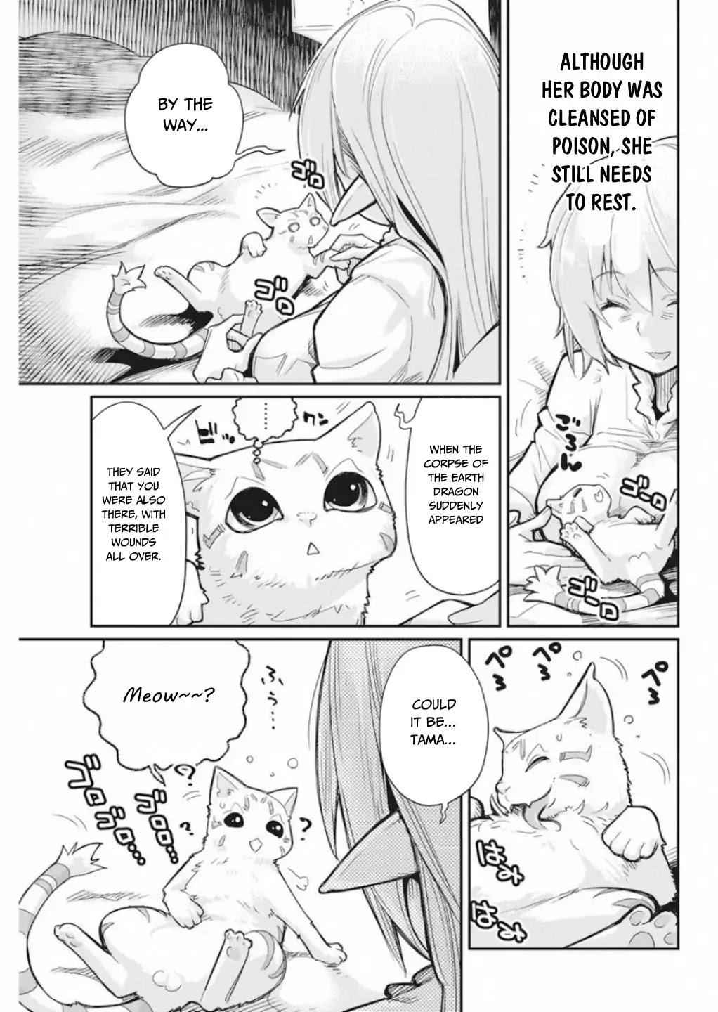 I Am Behemoth of the S Rank Monster but I Am Mistaken as a Cat and I Live as a Pet of Elf Girl Chapter 16 - Page 10