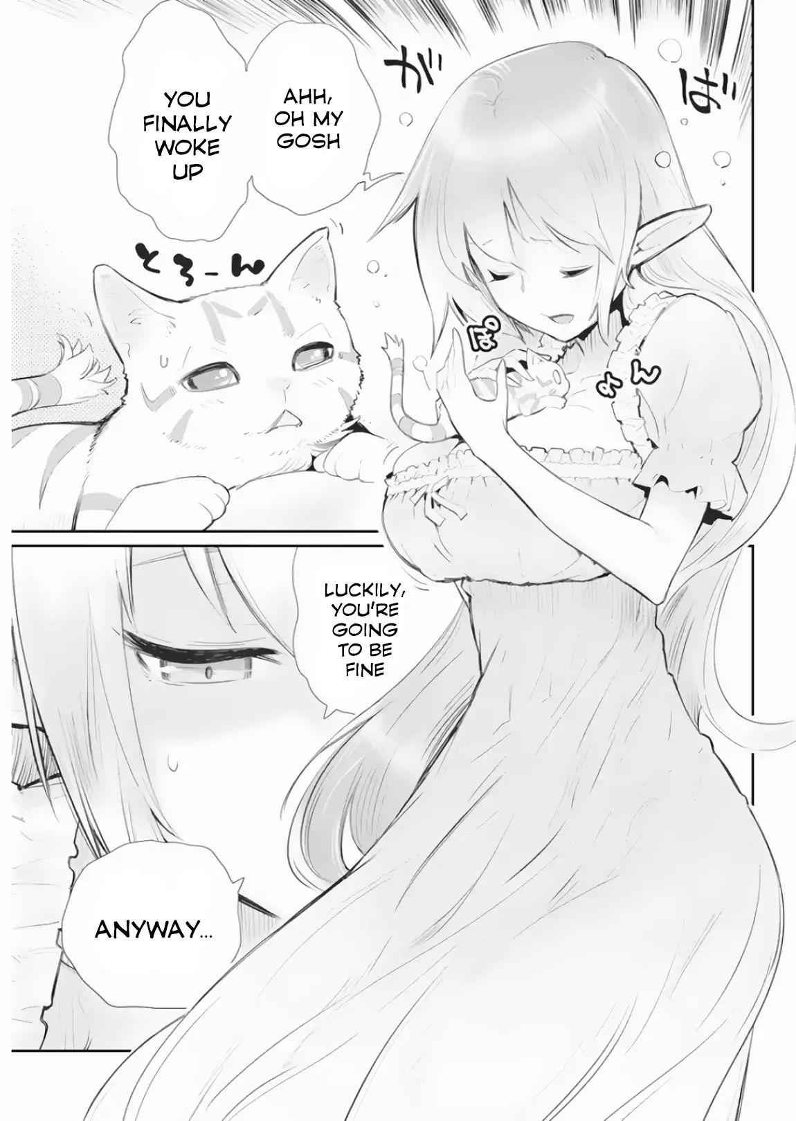 I Am Behemoth of the S Rank Monster but I Am Mistaken as a Cat and I Live as a Pet of Elf Girl Chapter 17 - Page 21