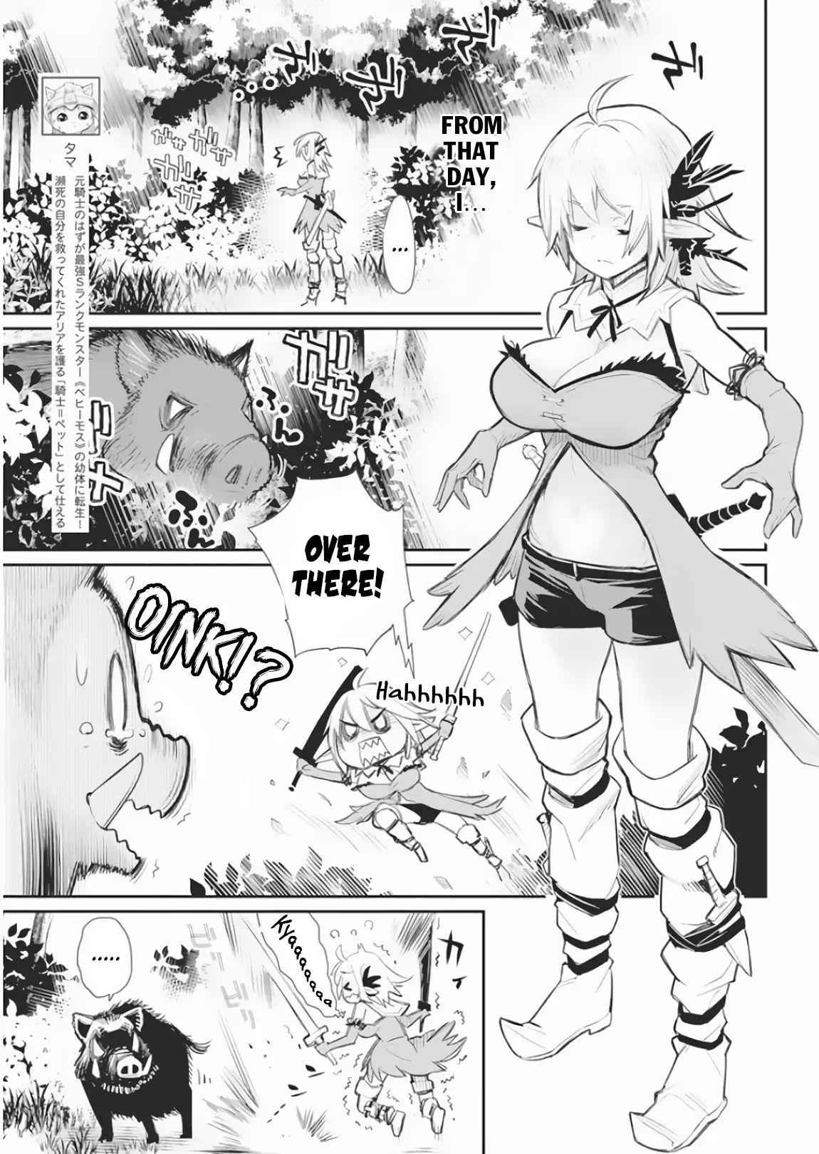 I Am Behemoth of the S Rank Monster but I Am Mistaken as a Cat and I Live as a Pet of Elf Girl Chapter 17 - Page 5