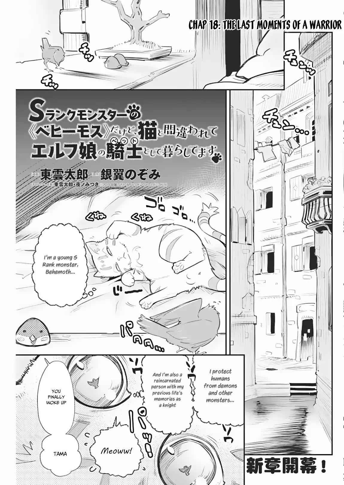 I Am Behemoth of the S Rank Monster but I Am Mistaken as a Cat and I Live as a Pet of Elf Girl Chapter 18 - Page 2
