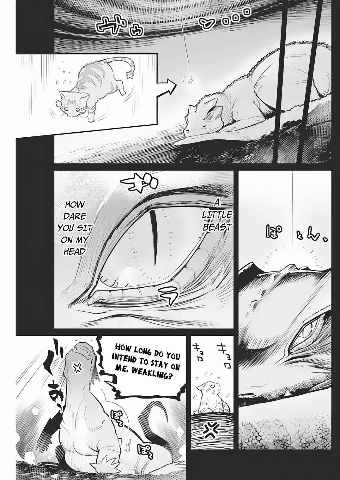 I Am Behemoth of the S Rank Monster but I Am Mistaken as a Cat and I Live as a Pet of Elf Girl Chapter 18 - Page 10