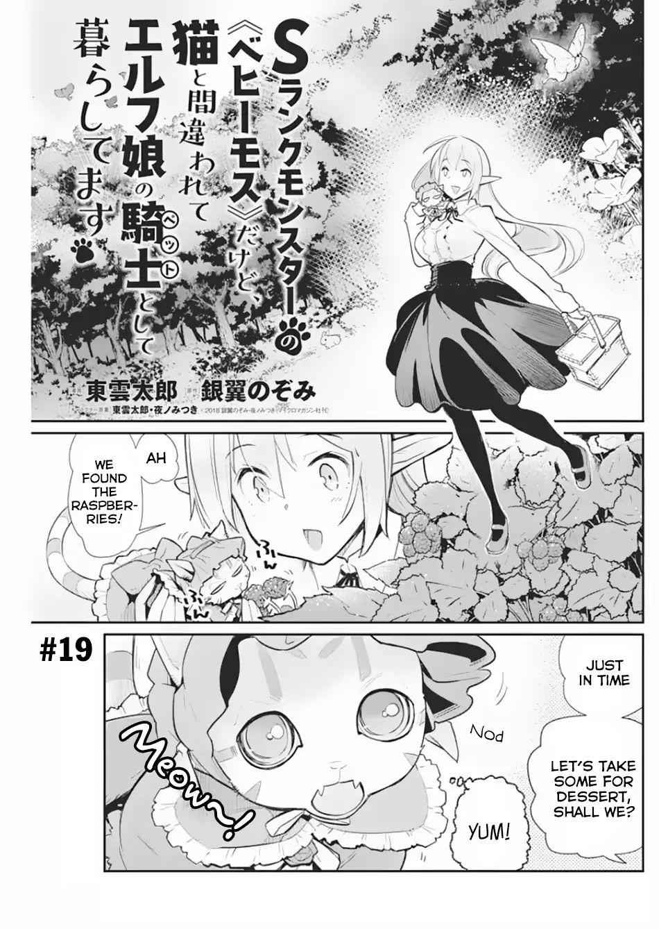 I Am Behemoth of the S Rank Monster but I Am Mistaken as a Cat and I Live as a Pet of Elf Girl Chapter 19 - Page 2