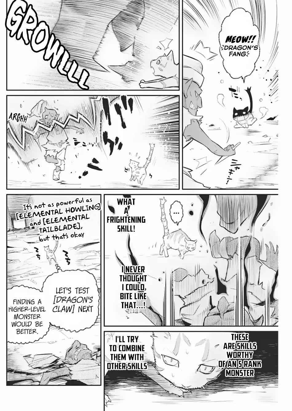 I Am Behemoth of the S Rank Monster but I Am Mistaken as a Cat and I Live as a Pet of Elf Girl Chapter 19 - Page 11