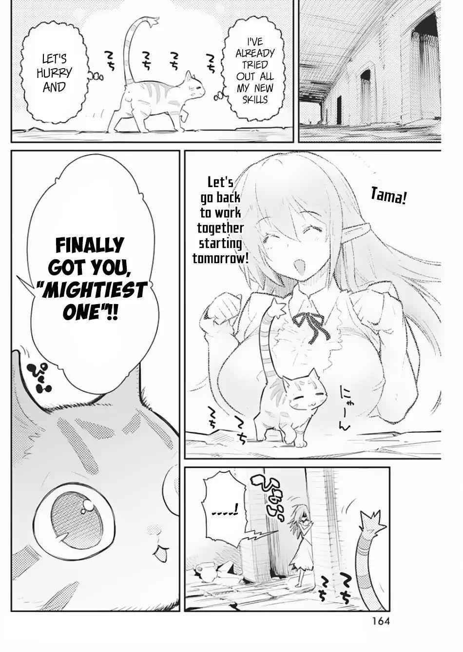 I Am Behemoth of the S Rank Monster but I Am Mistaken as a Cat and I Live as a Pet of Elf Girl Chapter 19 - Page 17