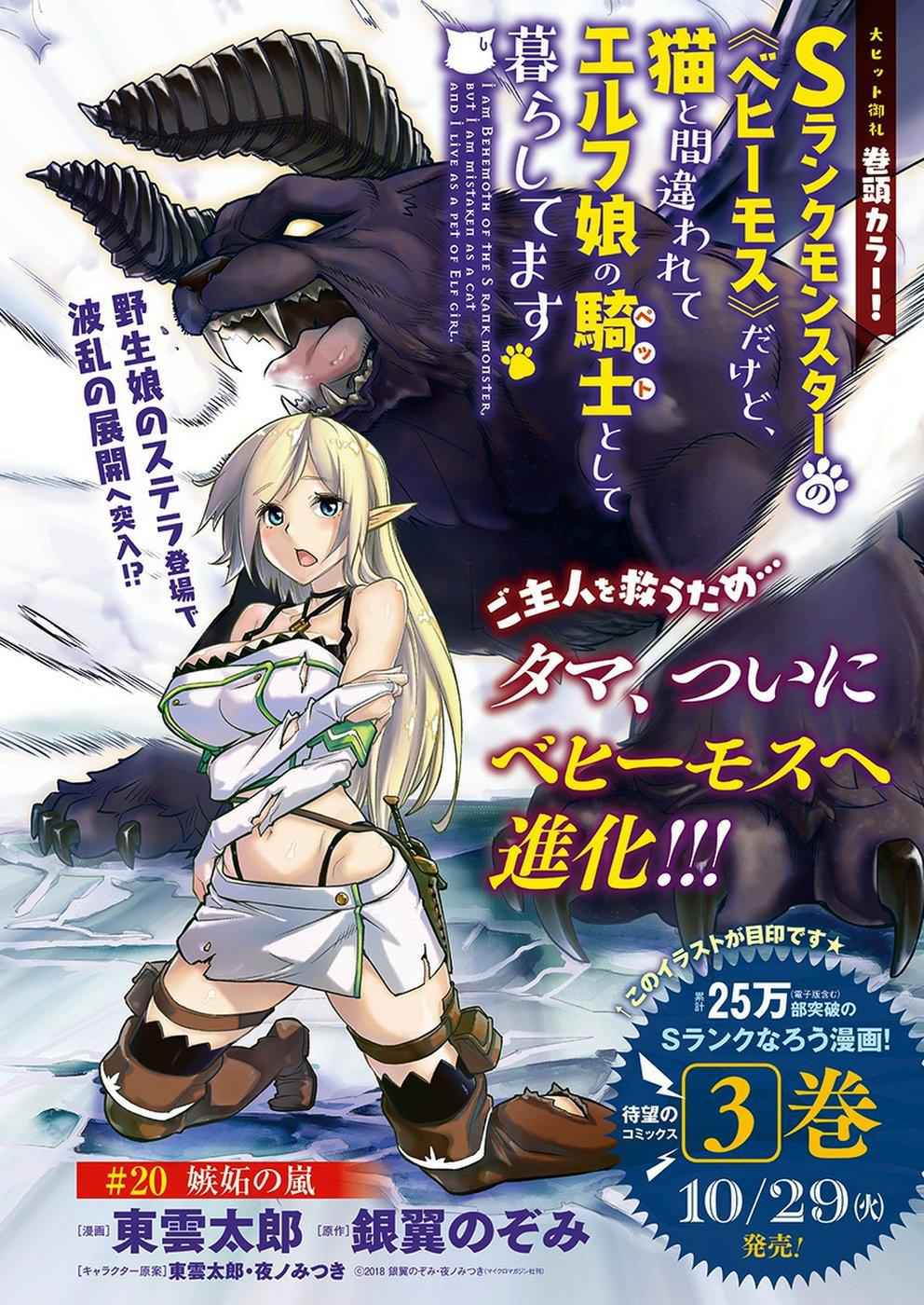 I Am Behemoth of the S Rank Monster but I Am Mistaken as a Cat and I Live as a Pet of Elf Girl Chapter 20 - Page 2