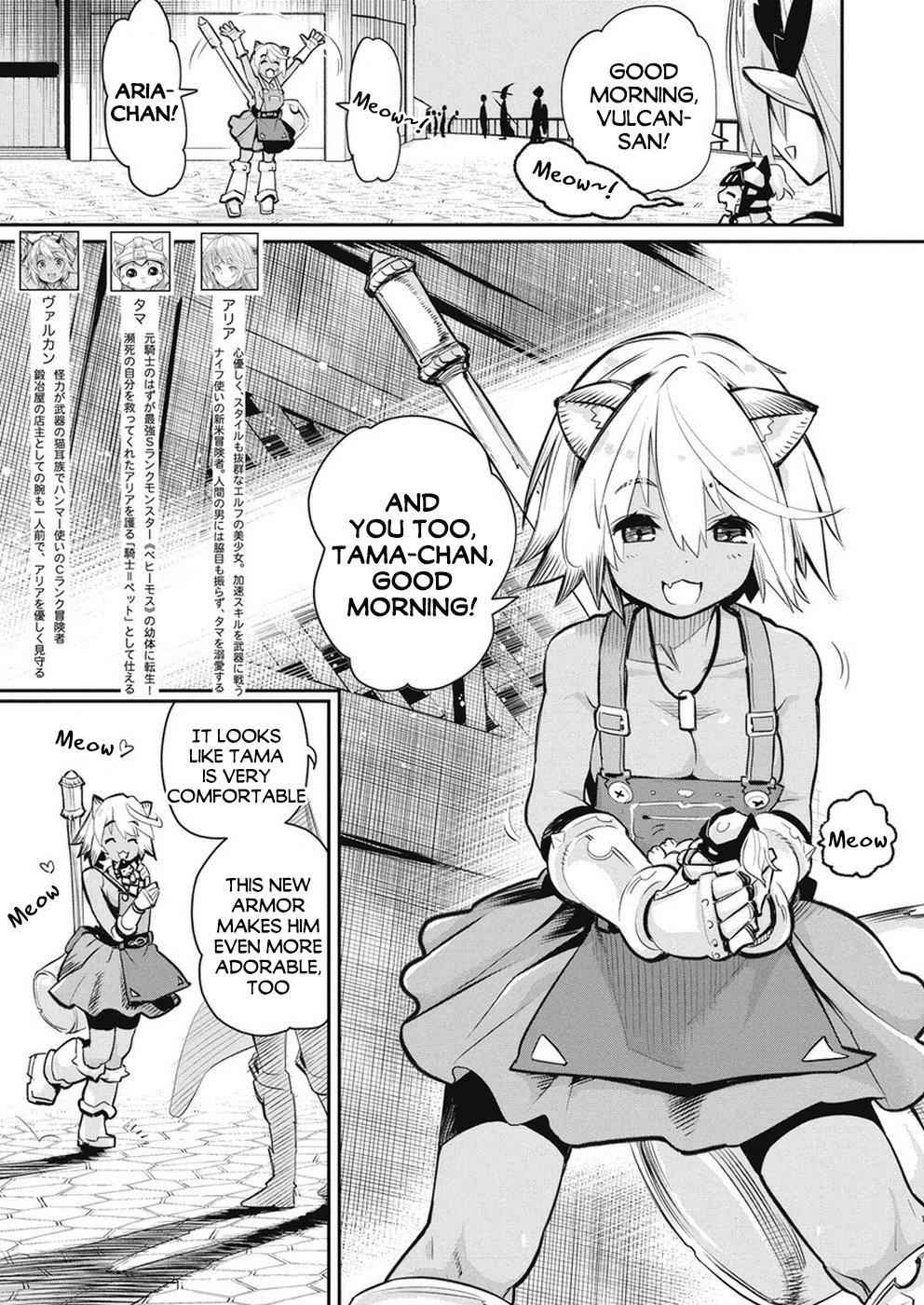 I Am Behemoth of the S Rank Monster but I Am Mistaken as a Cat and I Live as a Pet of Elf Girl Chapter 20 - Page 3