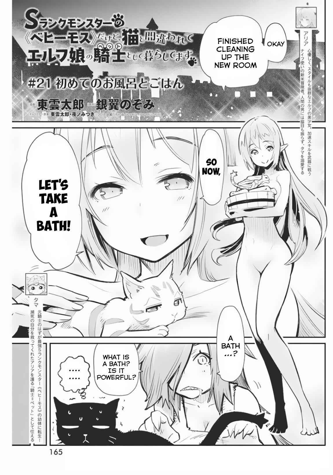 I Am Behemoth of the S Rank Monster but I Am Mistaken as a Cat and I Live as a Pet of Elf Girl Chapter 21 - Page 2