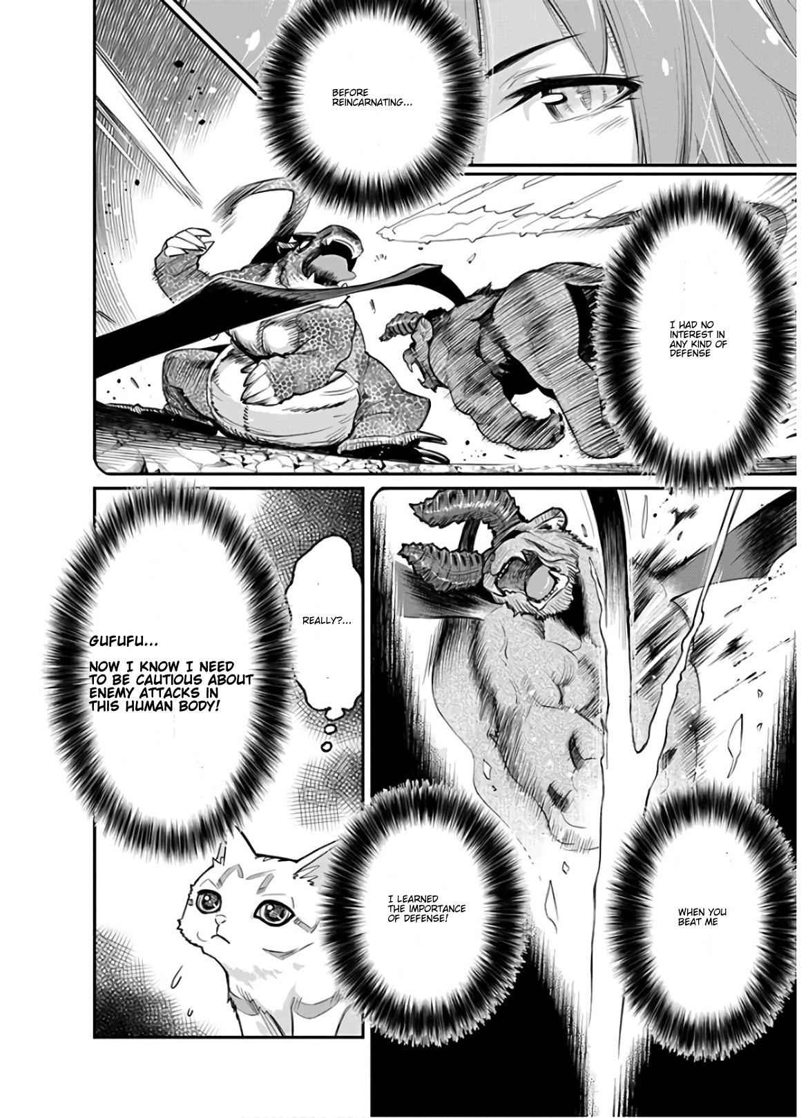 I Am Behemoth of the S Rank Monster but I Am Mistaken as a Cat and I Live as a Pet of Elf Girl Chapter 23 - Page 12