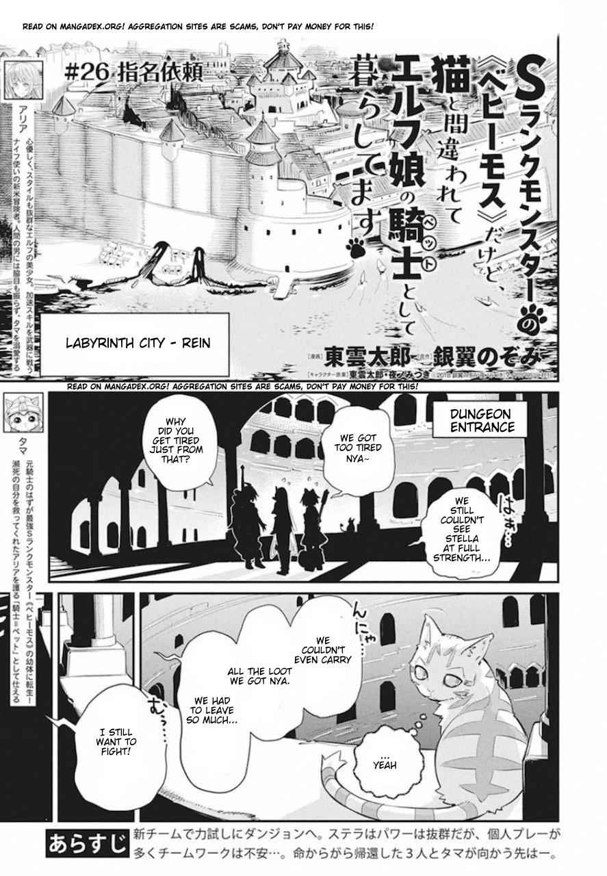 I Am Behemoth of the S Rank Monster but I Am Mistaken as a Cat and I Live as a Pet of Elf Girl Chapter 26 - Page 1