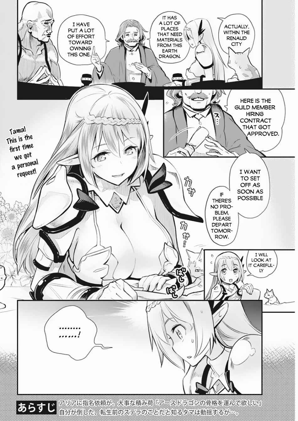I Am Behemoth of the S Rank Monster but I Am Mistaken as a Cat and I Live as a Pet of Elf Girl Chapter 27 - Page 3