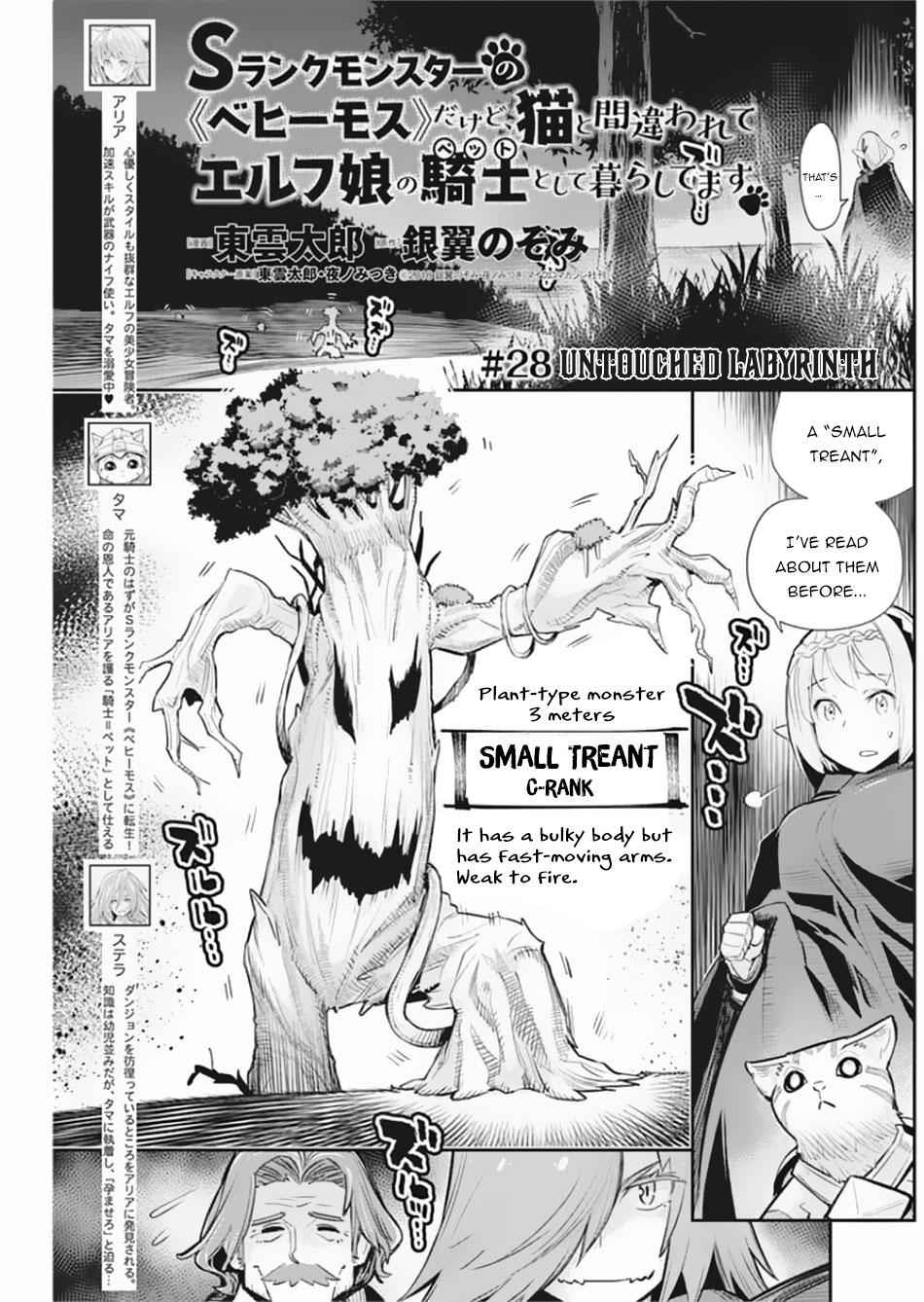 I Am Behemoth of the S Rank Monster but I Am Mistaken as a Cat and I Live as a Pet of Elf Girl Chapter 28 - Page 2