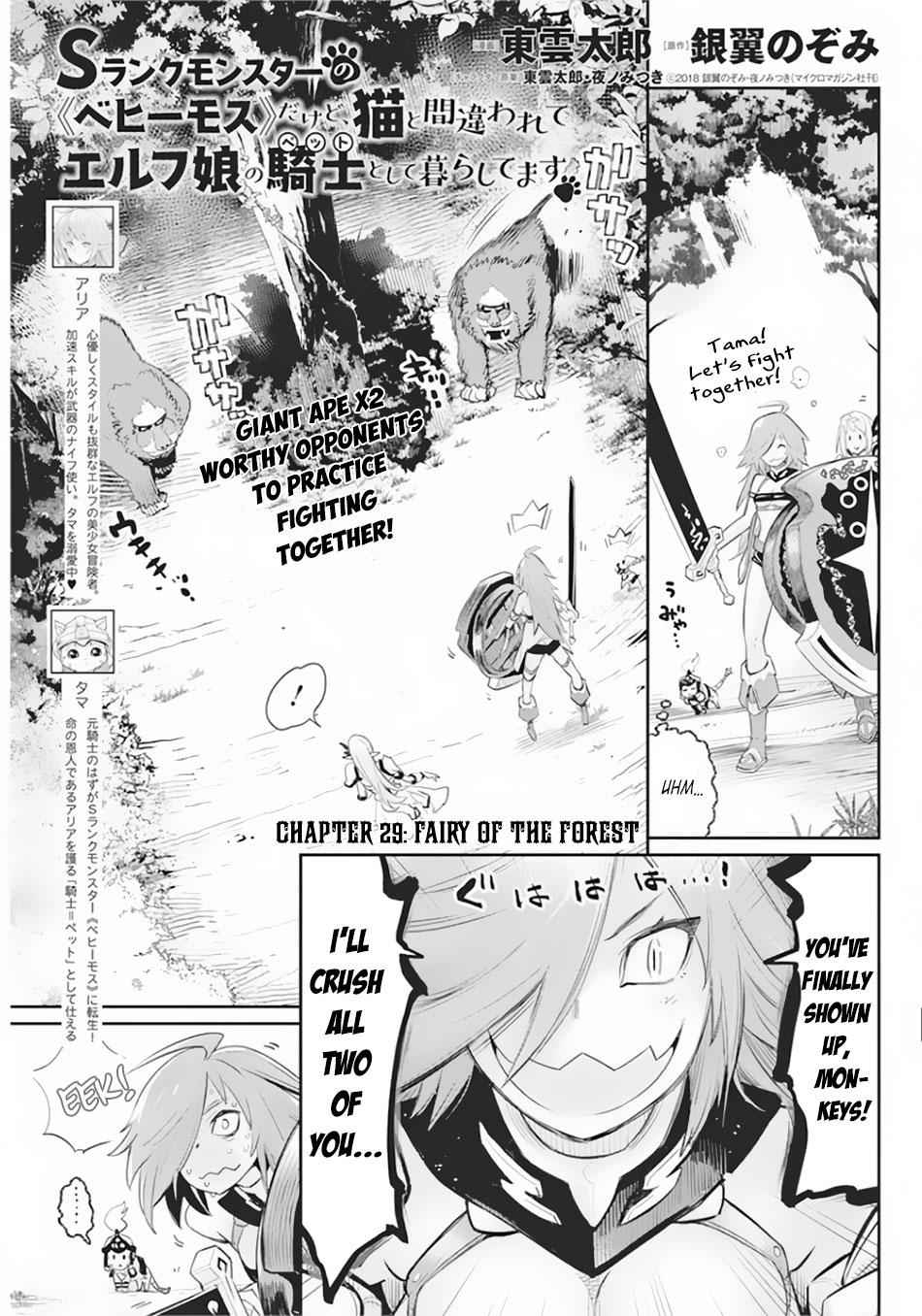 I Am Behemoth of the S Rank Monster but I Am Mistaken as a Cat and I Live as a Pet of Elf Girl Chapter 29 - Page 2