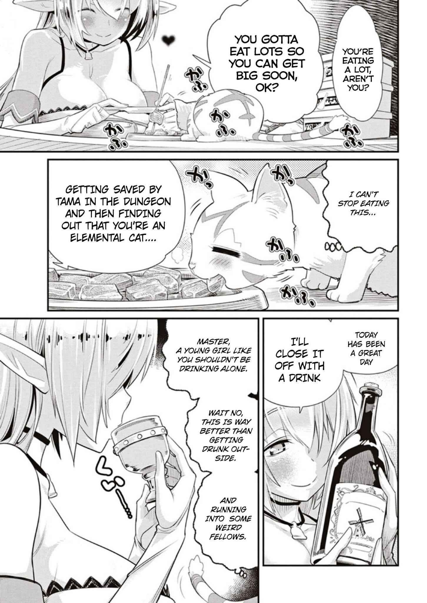 I Am Behemoth of the S Rank Monster but I Am Mistaken as a Cat and I Live as a Pet of Elf Girl Chapter 3 - Page 21