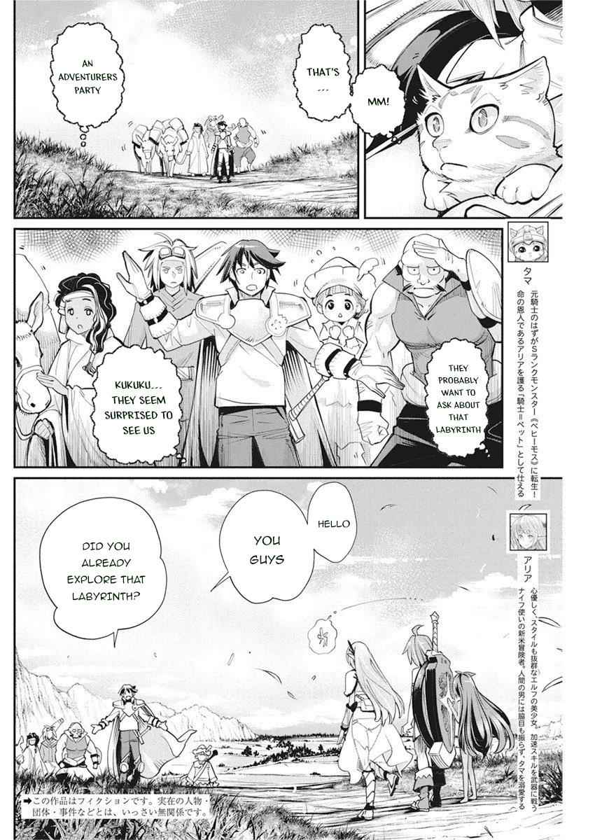 I Am Behemoth of the S Rank Monster but I Am Mistaken as a Cat and I Live as a Pet of Elf Girl Chapter 31 - Page 3