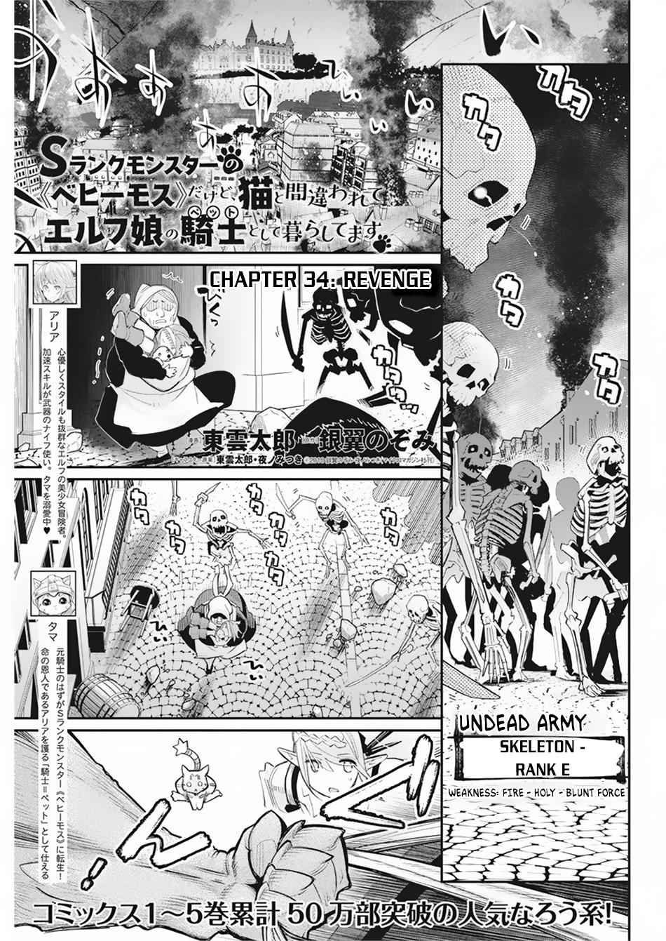 I Am Behemoth of the S Rank Monster but I Am Mistaken as a Cat and I Live as a Pet of Elf Girl Chapter 34 - Page 2