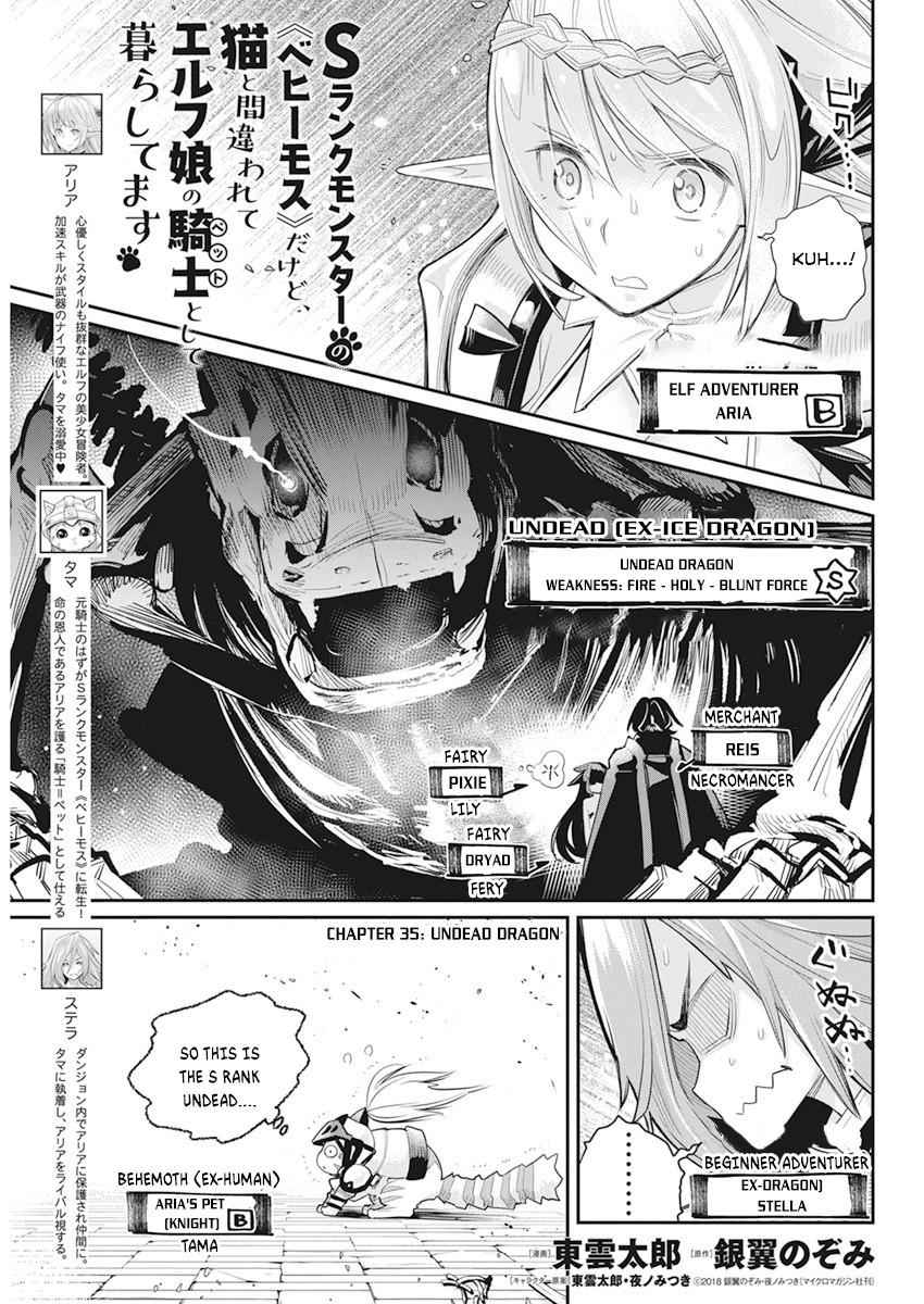 I Am Behemoth of the S Rank Monster but I Am Mistaken as a Cat and I Live as a Pet of Elf Girl Chapter 35 - Page 2