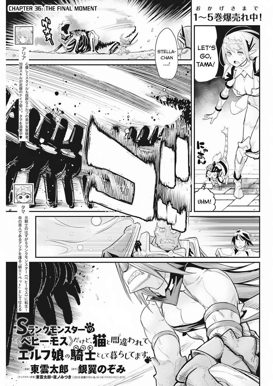 I Am Behemoth of the S Rank Monster but I Am Mistaken as a Cat and I Live as a Pet of Elf Girl Chapter 36 - Page 2