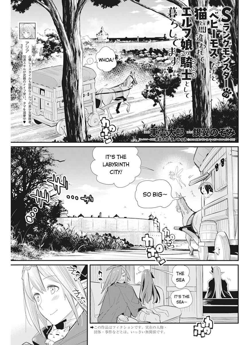 I Am Behemoth of the S Rank Monster but I Am Mistaken as a Cat and I Live as a Pet of Elf Girl Chapter 37 - Page 2