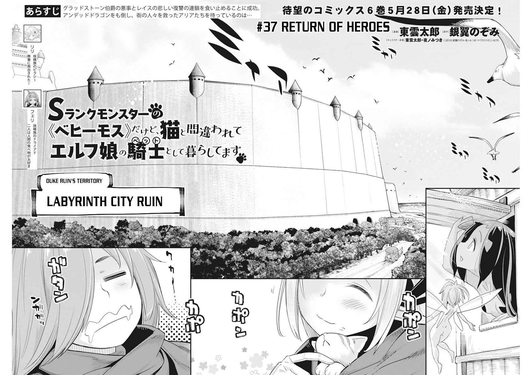 I Am Behemoth of the S Rank Monster but I Am Mistaken as a Cat and I Live as a Pet of Elf Girl Chapter 37 - Page 5