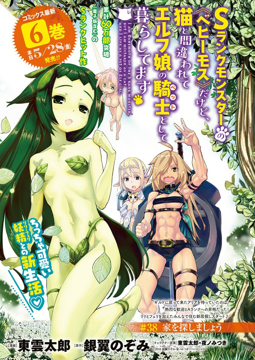 I Am Behemoth of the S Rank Monster but I Am Mistaken as a Cat and I Live as a Pet of Elf Girl Chapter 38 - Page 2