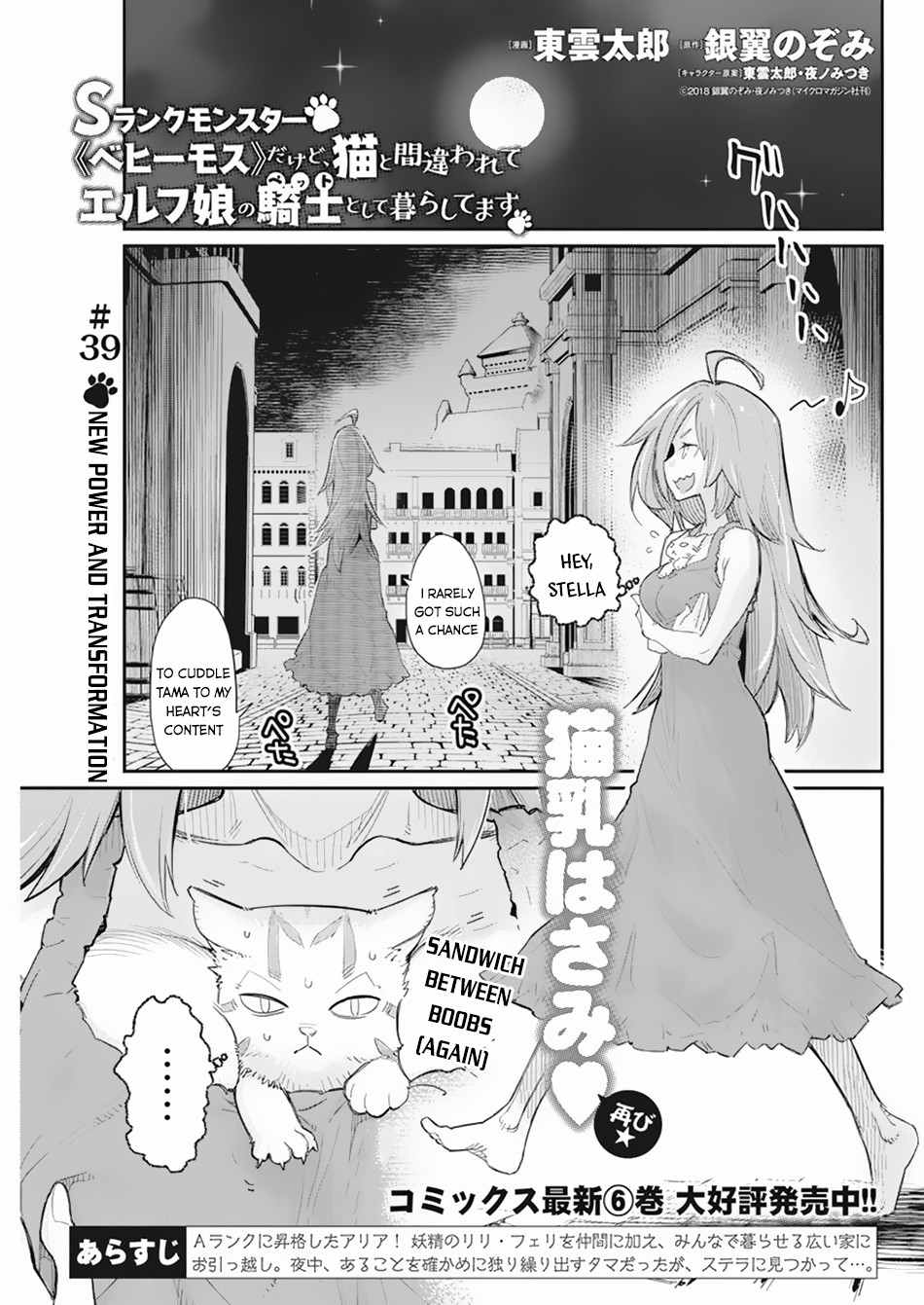 I Am Behemoth of the S Rank Monster but I Am Mistaken as a Cat and I Live as a Pet of Elf Girl Chapter 39 - Page 2