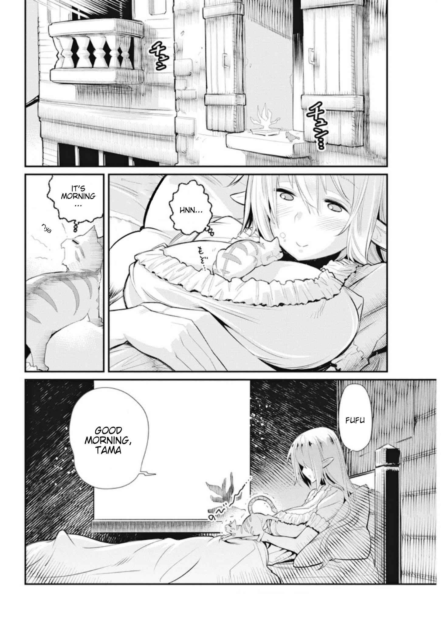 I Am Behemoth of the S Rank Monster but I Am Mistaken as a Cat and I Live as a Pet of Elf Girl Chapter 4 - Page 18