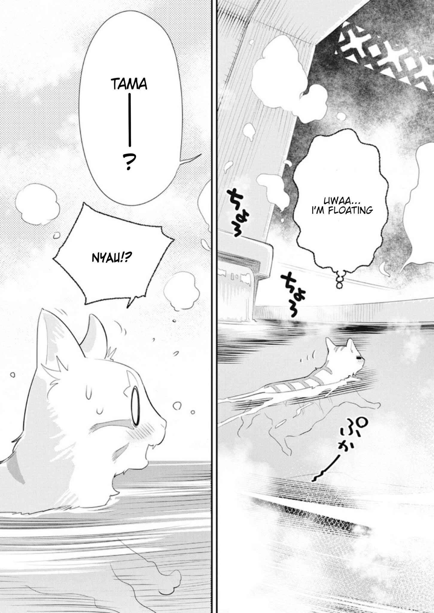 I Am Behemoth of the S Rank Monster but I Am Mistaken as a Cat and I Live as a Pet of Elf Girl Chapter 4 - Page 5