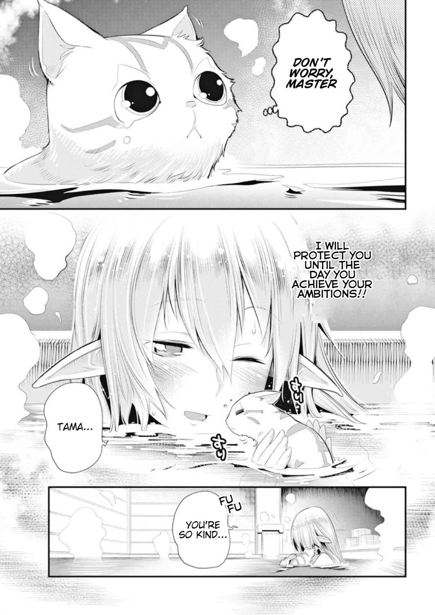 I Am Behemoth of the S Rank Monster but I Am Mistaken as a Cat and I Live as a Pet of Elf Girl Chapter 4 - Page 9