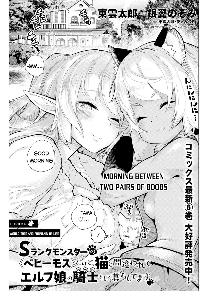 I Am Behemoth of the S Rank Monster but I Am Mistaken as a Cat and I Live as a Pet of Elf Girl Chapter 40 - Page 2