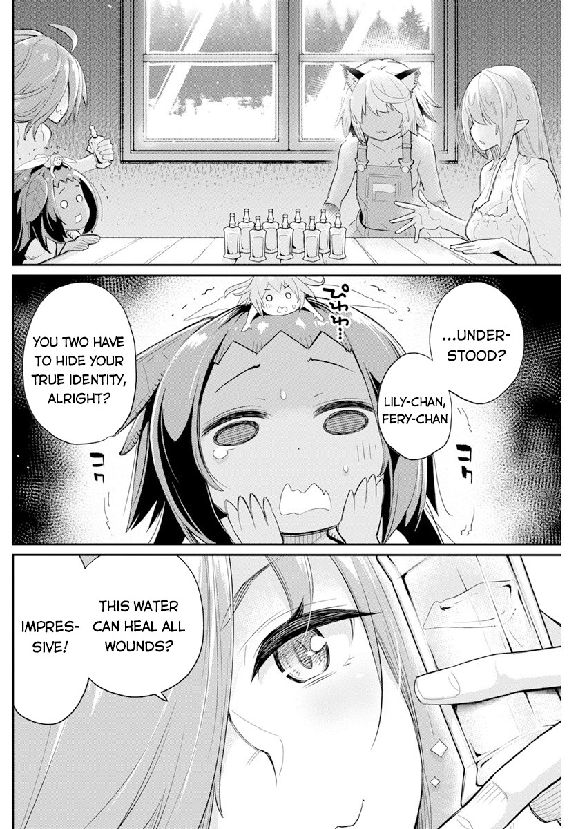 I Am Behemoth of the S Rank Monster but I Am Mistaken as a Cat and I Live as a Pet of Elf Girl Chapter 40 - Page 13
