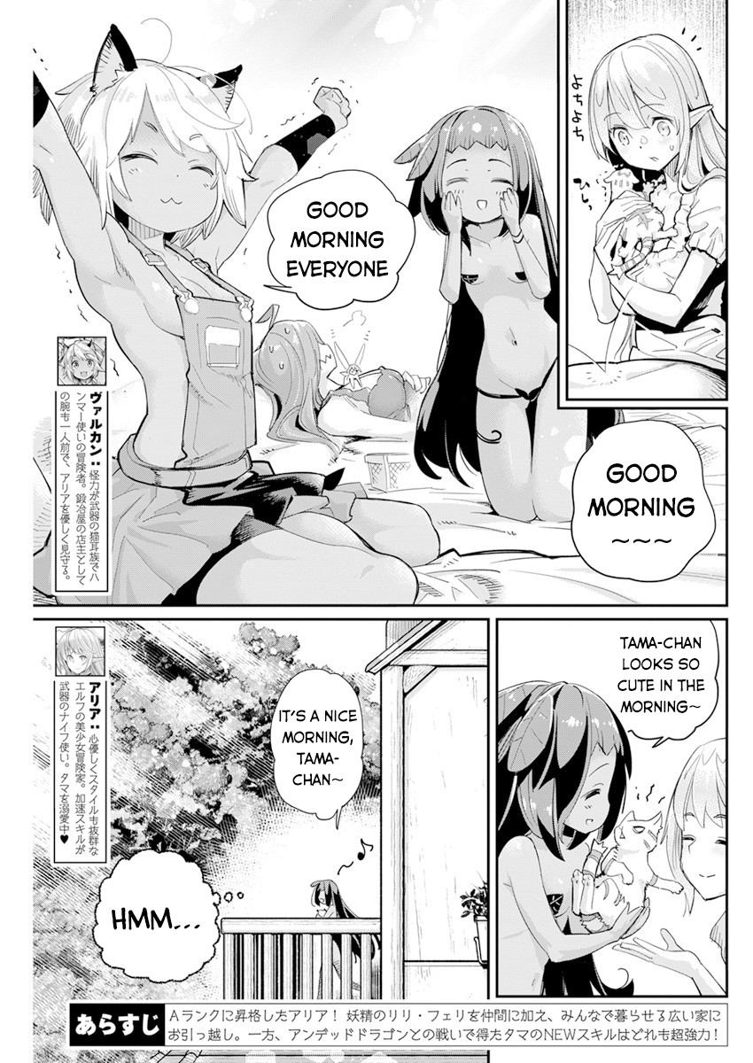 I Am Behemoth of the S Rank Monster but I Am Mistaken as a Cat and I Live as a Pet of Elf Girl Chapter 40 - Page 4