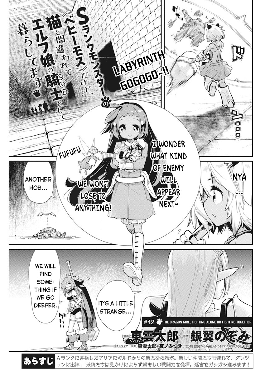 I Am Behemoth of the S Rank Monster but I Am Mistaken as a Cat and I Live as a Pet of Elf Girl Chapter 42 - Page 2