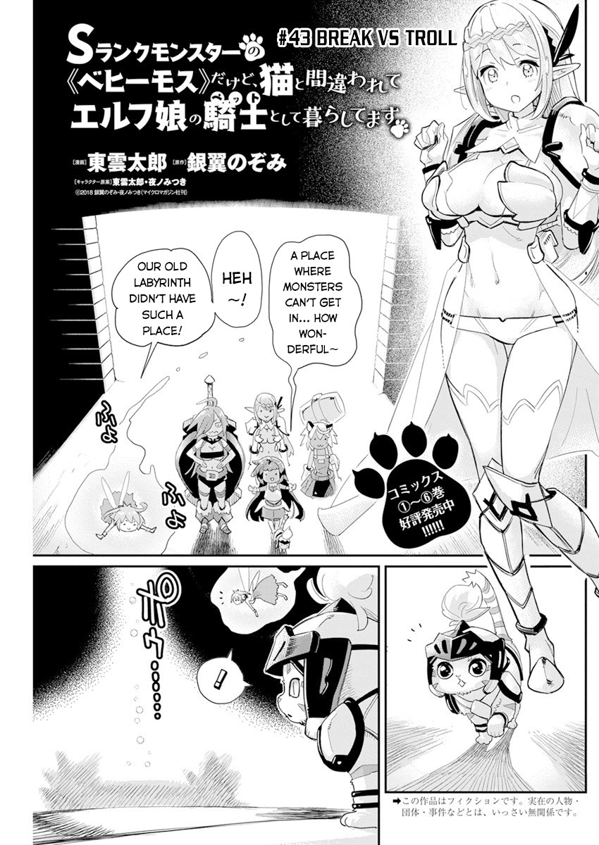 I Am Behemoth of the S Rank Monster but I Am Mistaken as a Cat and I Live as a Pet of Elf Girl Chapter 43 - Page 2