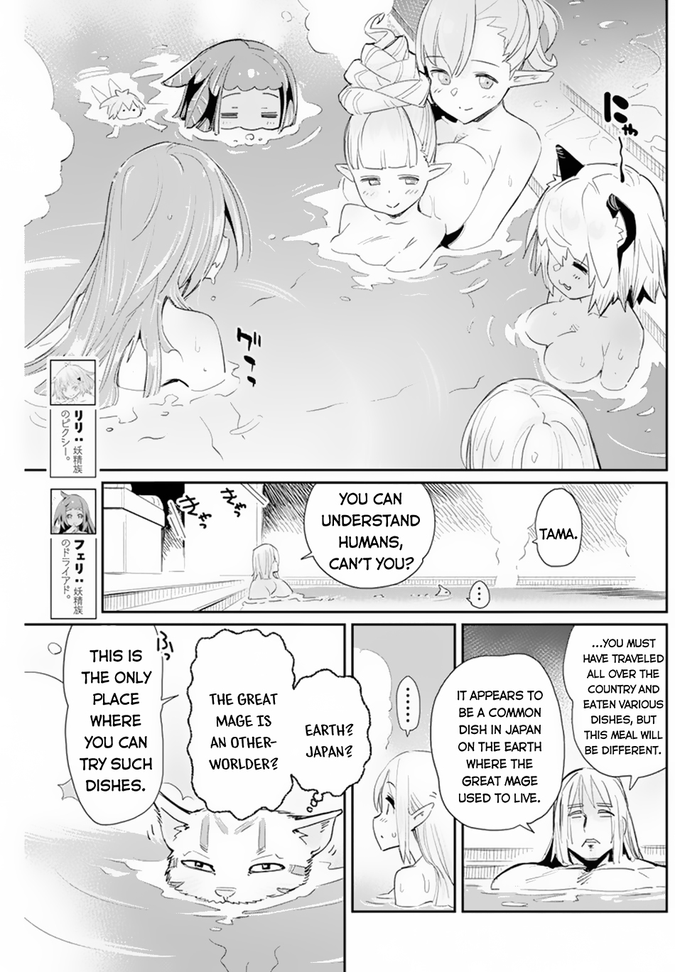 I Am Behemoth of the S Rank Monster but I Am Mistaken as a Cat and I Live as a Pet of Elf Girl Chapter 47 - Page 11