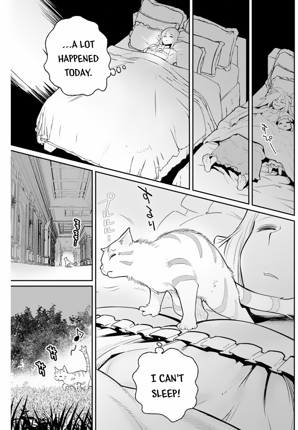 I Am Behemoth of the S Rank Monster but I Am Mistaken as a Cat and I Live as a Pet of Elf Girl Chapter 47 - Page 15