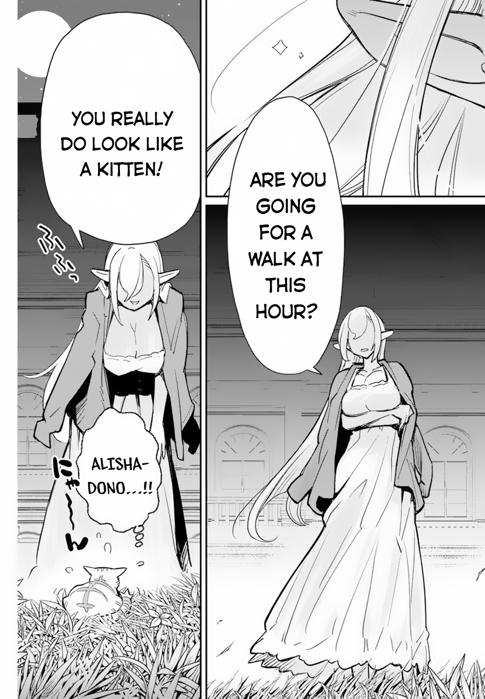 I Am Behemoth of the S Rank Monster but I Am Mistaken as a Cat and I Live as a Pet of Elf Girl Chapter 47 - Page 17