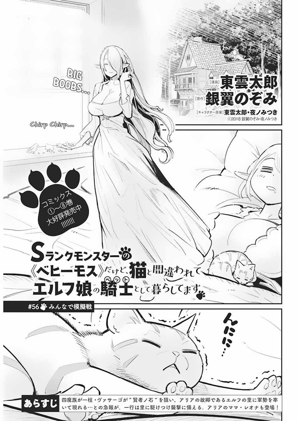I Am Behemoth of the S Rank Monster but I Am Mistaken as a Cat and I Live as a Pet of Elf Girl Chapter 56 - Page 2