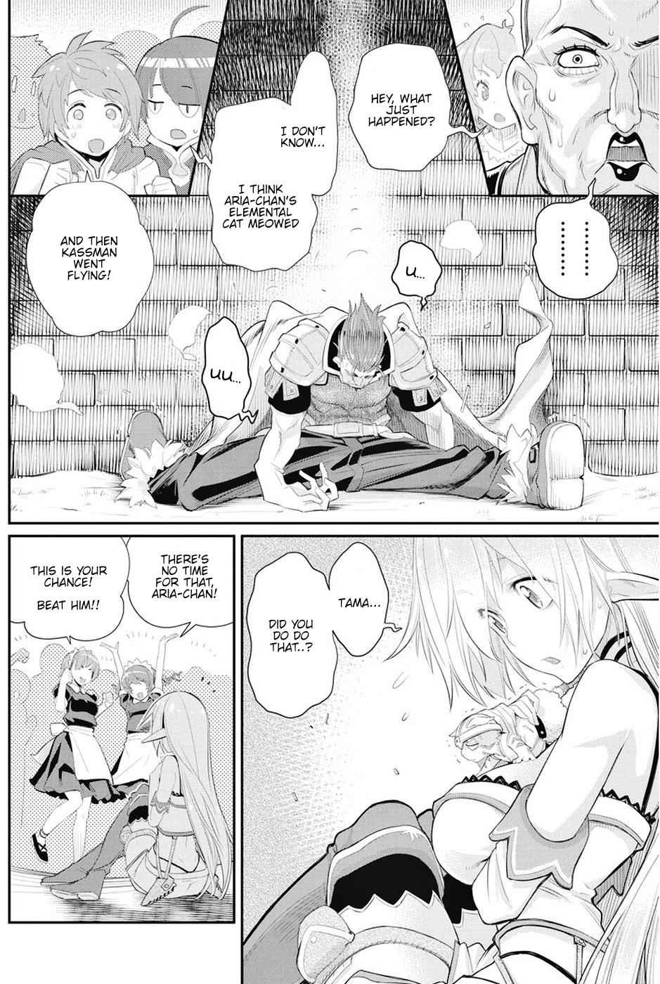 I Am Behemoth of the S Rank Monster but I Am Mistaken as a Cat and I Live as a Pet of Elf Girl Chapter 6 - Page 13