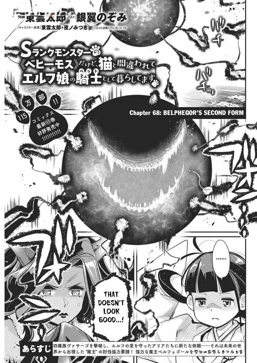 I Am Behemoth of the S Rank Monster but I Am Mistaken as a Cat and I Live as a Pet of Elf Girl Chapter 68 - Page 3