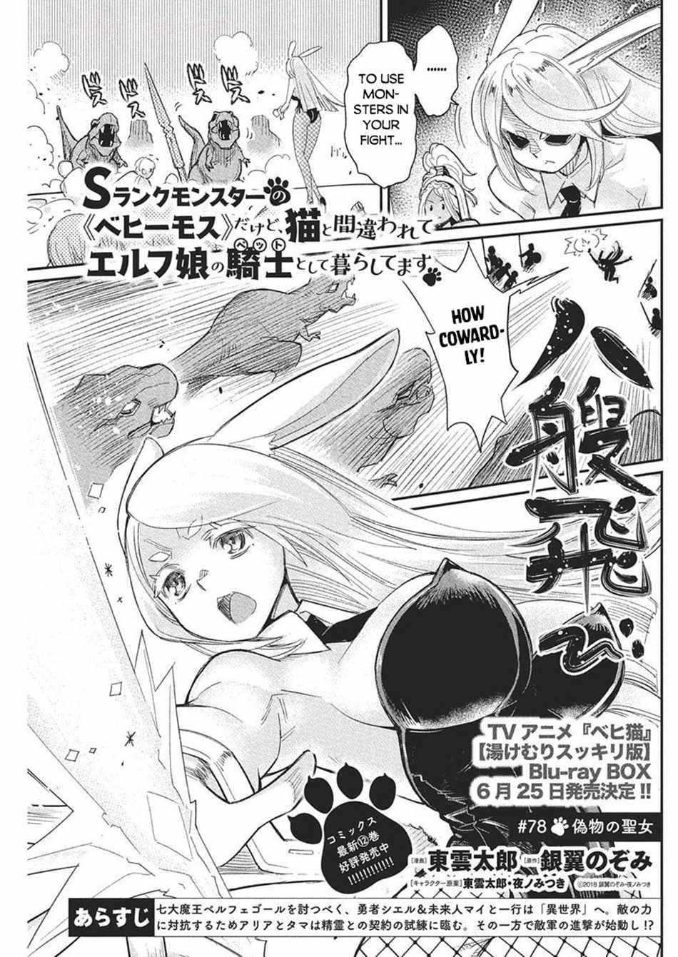 I Am Behemoth of the S Rank Monster but I Am Mistaken as a Cat and I Live as a Pet of Elf Girl Chapter 78 - Page 2
