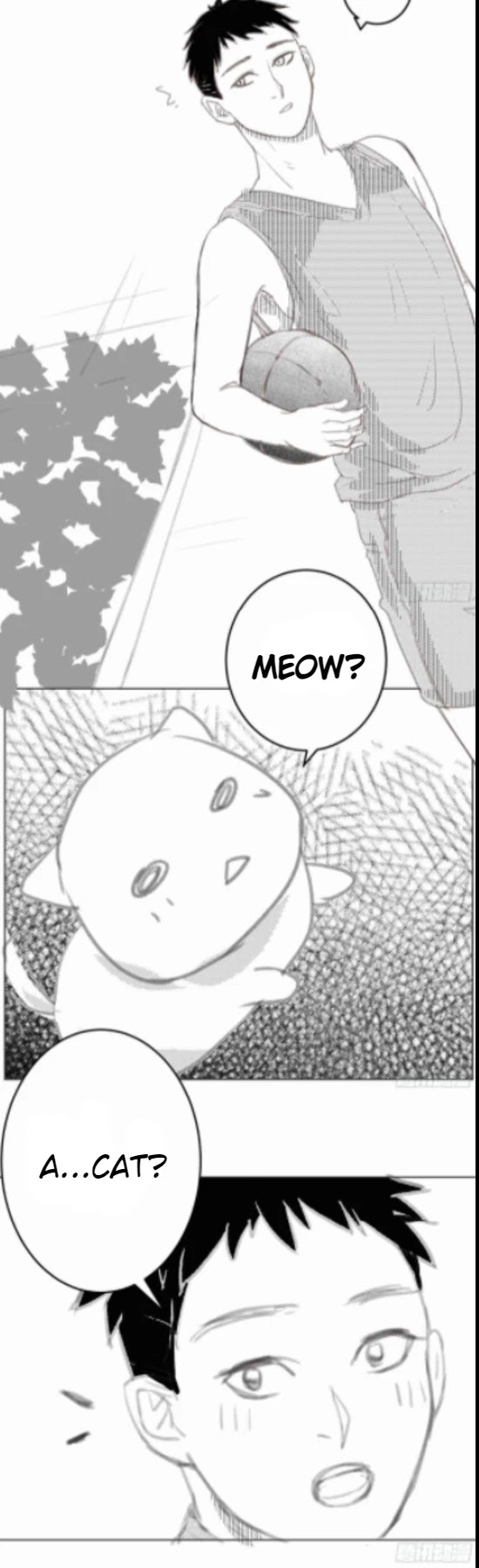 I Am My Wife Chapter 60.5 - Page 2