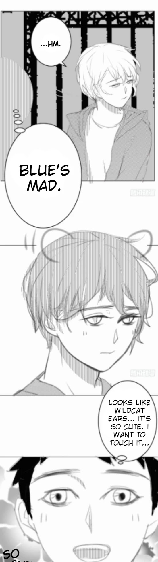 I Am My Wife Chapter 60.5 - Page 5