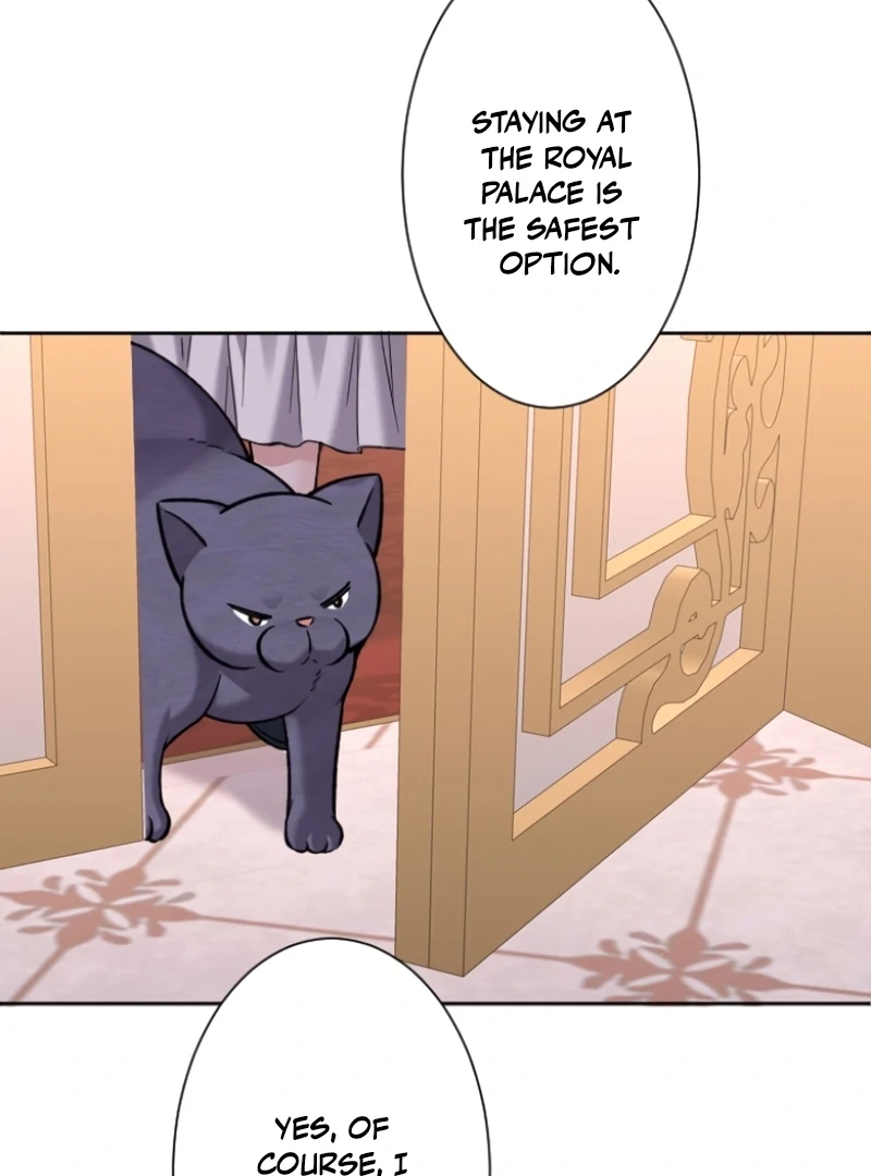 I Became a Tutor to Protect My Sister Chapter 8 - Page 42