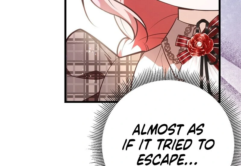 I Became the Adopted Daughter of the Sea Guardian Chapter 40 - Page 45