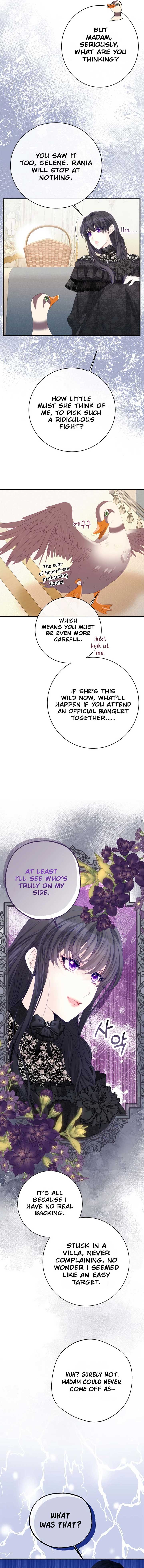 I Became The Black Swan Mother of The White Swan Princess Chapter 39 - Page 12