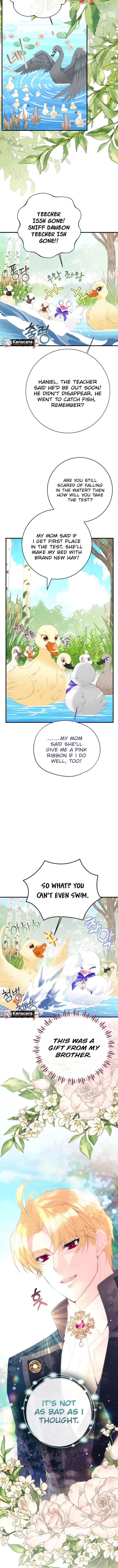 I Became The Black Swan Mother of The White Swan Princess Chapter 50 - Page 5