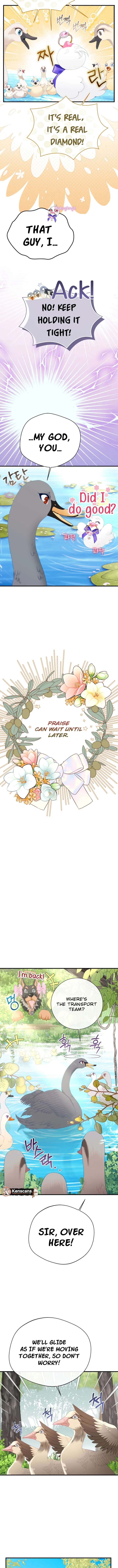 I Became The Black Swan Mother of The White Swan Princess Chapter 51 - Page 4