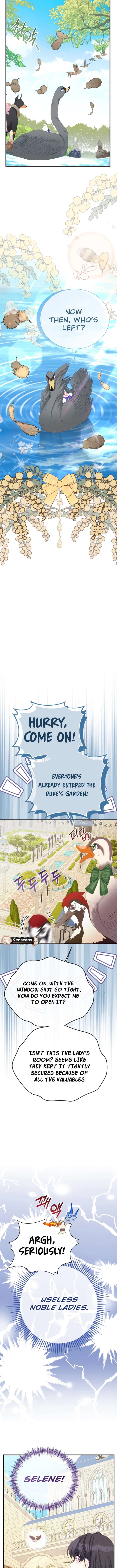 I Became The Black Swan Mother of The White Swan Princess Chapter 51 - Page 5