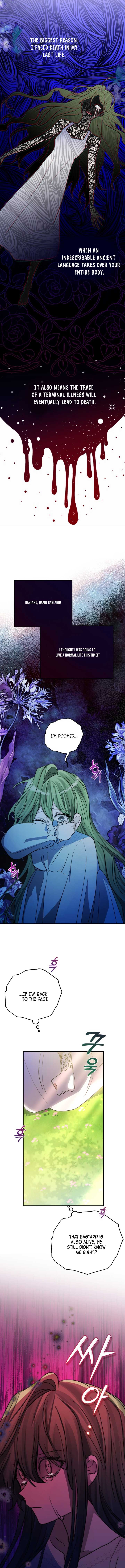 I Became the Contract Daughter of the Soon-to-be-Ruined Family Chapter 2 - Page 3